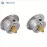 OEM Pressure Gauge