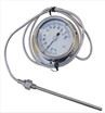 4 Inch Size Capillary Thermometer